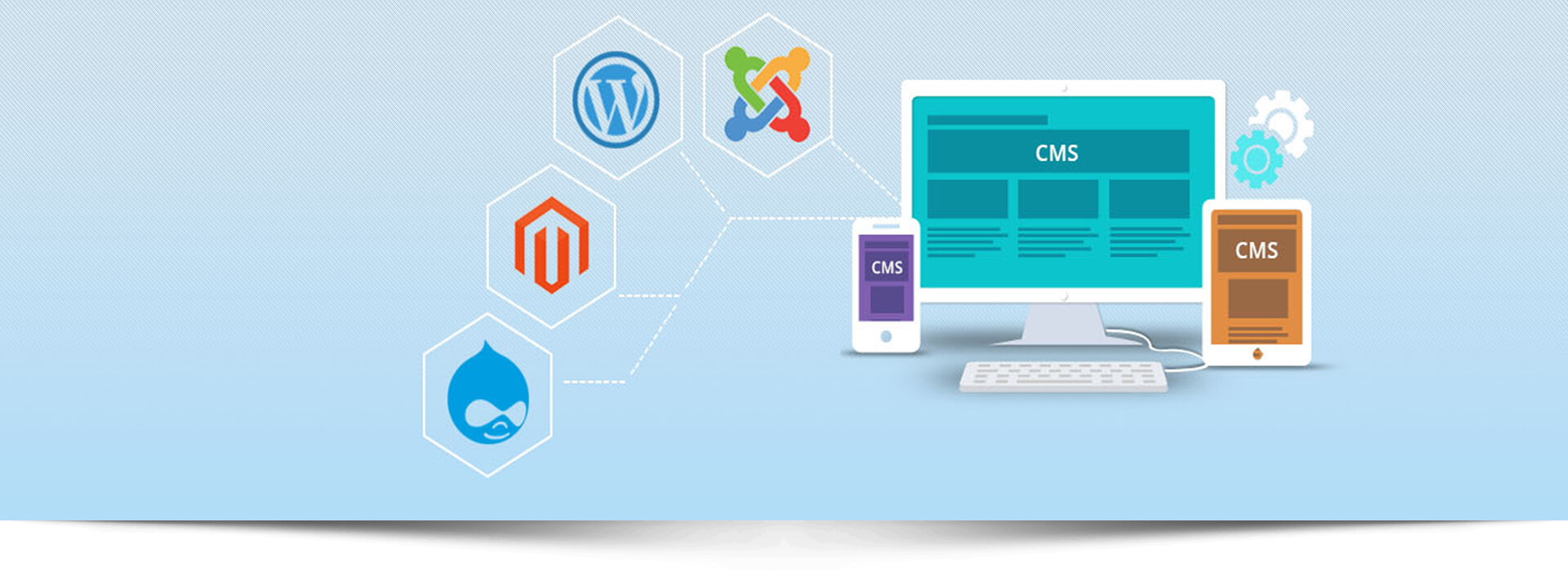 MS software | Custom Content Management System | CMS Solution