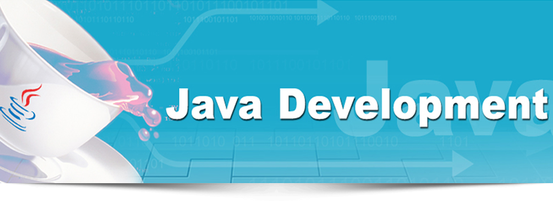 Custom Soft Java Development | Custom Soft J2EE Application Development