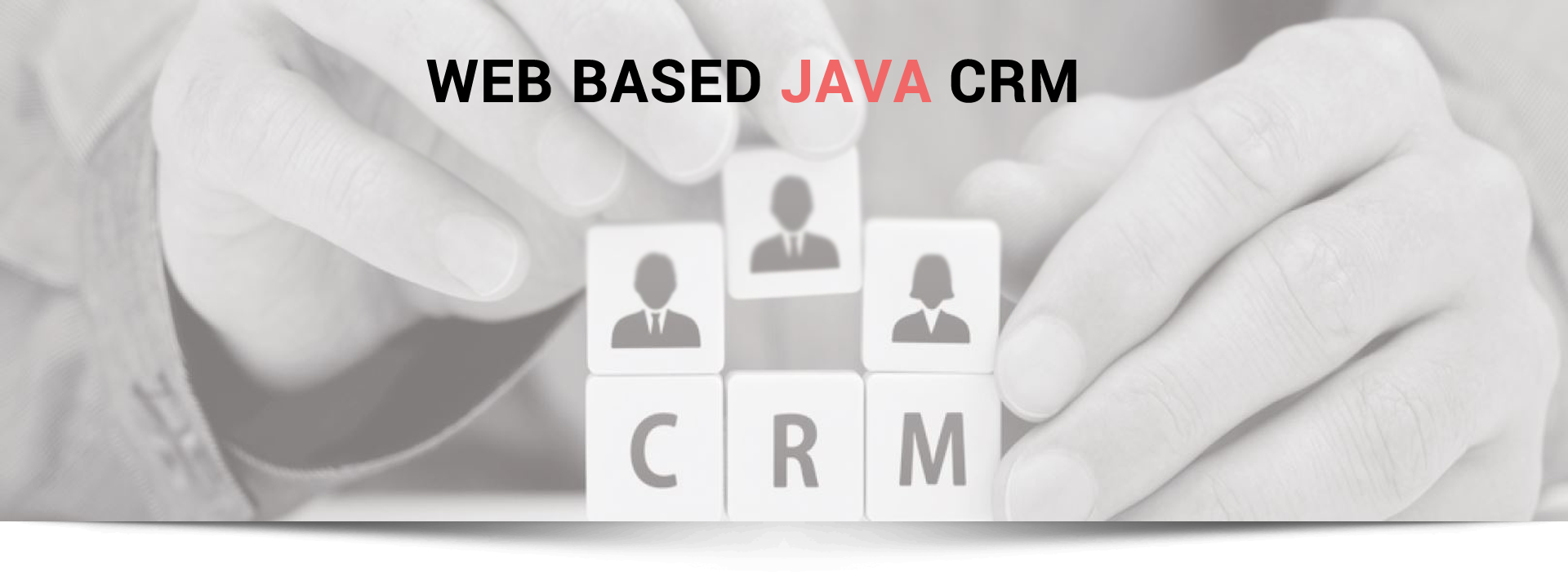 Web based Java CRM solution | Web based Java CRM Application Developement